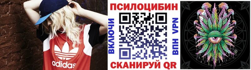 Галлюциногенные грибы Psilocybine cubensis  Петровск-Забайкальский 